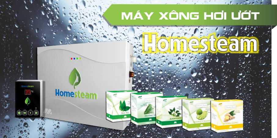Máy xông hơi gia đình HomeSteam Model: MA – 780HS